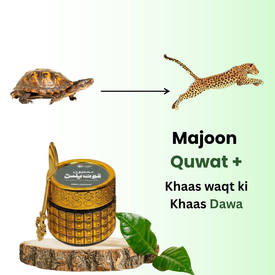 Majoon Quwat Plus | Herbal Majoon for Men